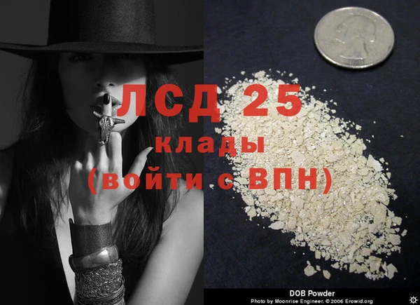 спайс Арсеньев
