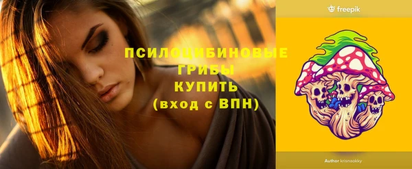 дживик Армянск