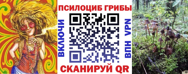 Галлюциногенные грибы прущие грибы Теберда