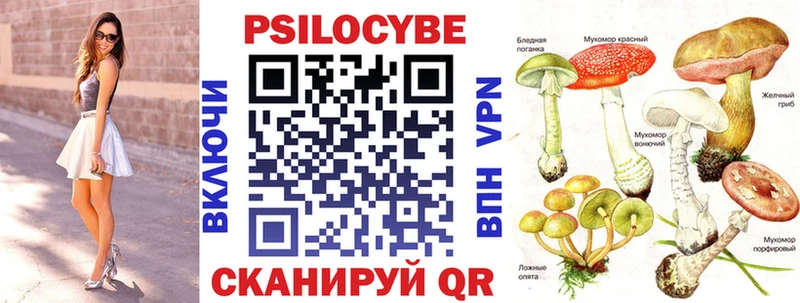 Галлюциногенные грибы Cubensis  Теберда 